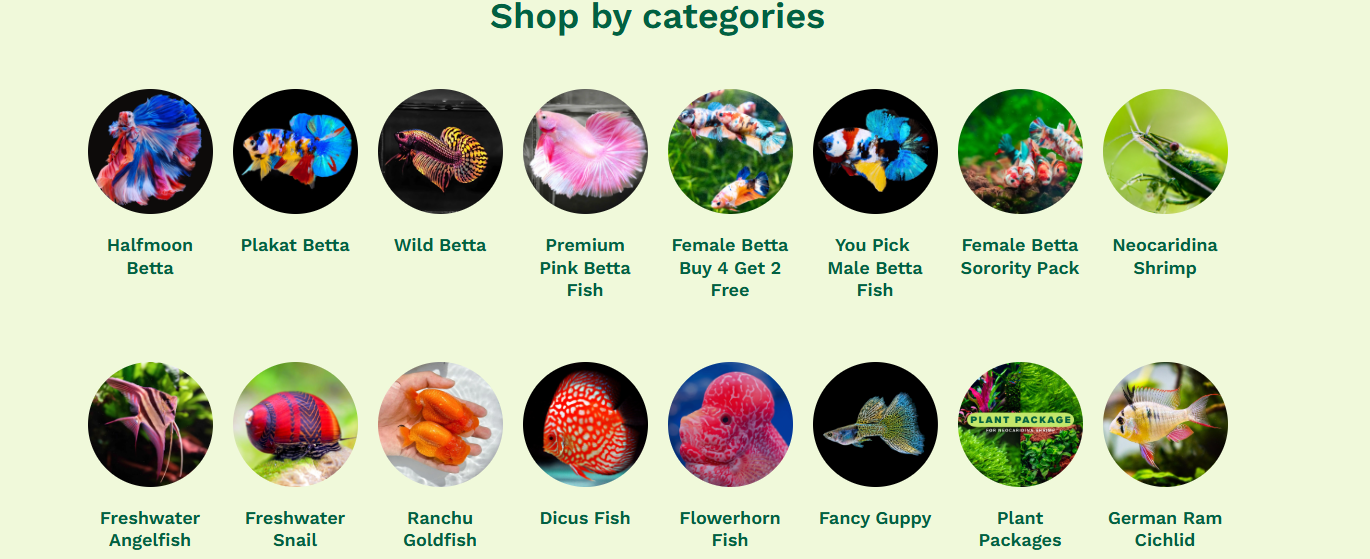 Welcome to Our Store